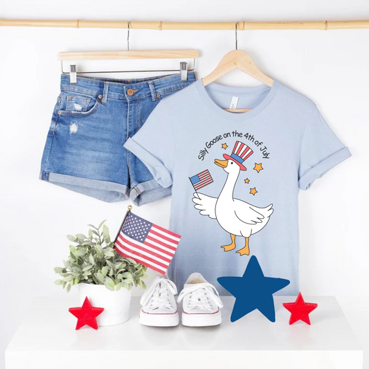 Silly Goose on the 4th of July