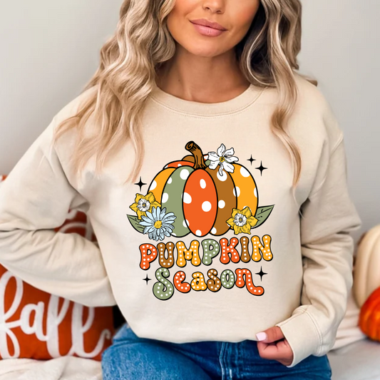 Pumpkin Season Colorful